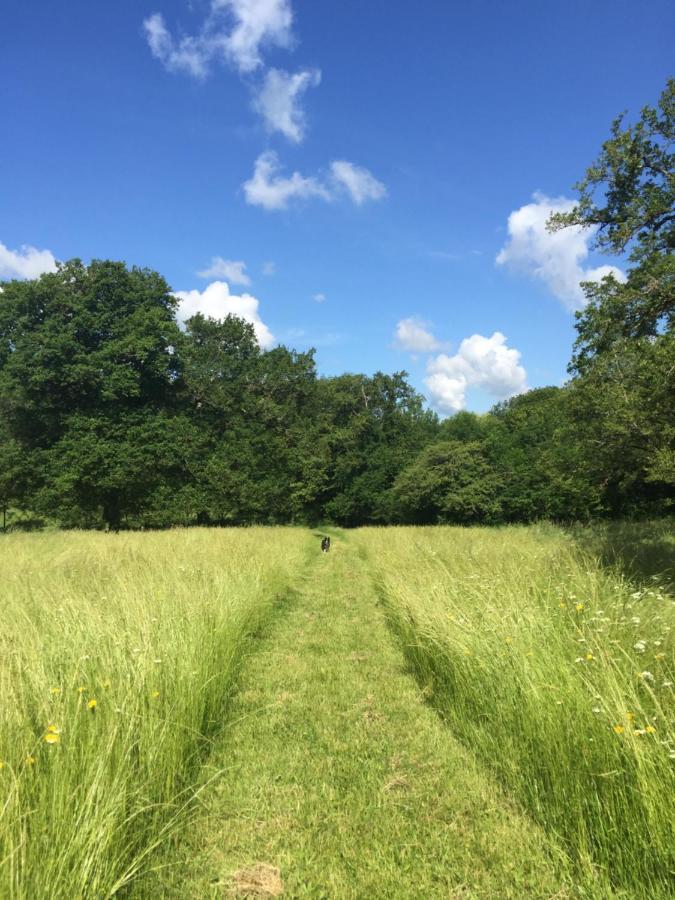 Le Gite Du Petit Renard: A Tranquil Gite With Pool Oradour-Saint-Genest المظهر الخارجي الصورة