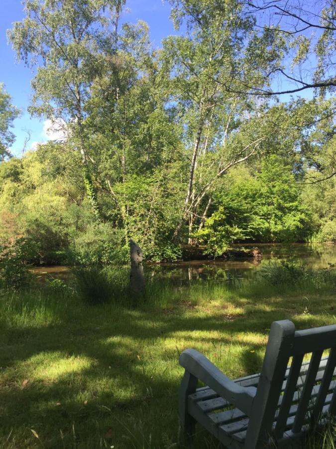 Le Gite Du Petit Renard: A Tranquil Gite With Pool Oradour-Saint-Genest المظهر الخارجي الصورة